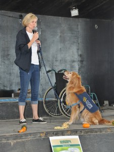 COPE Service Dogs at Barkfest Photo 5