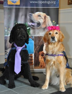 COPE Service Dogs Mothers Day High Tea Photo 2
