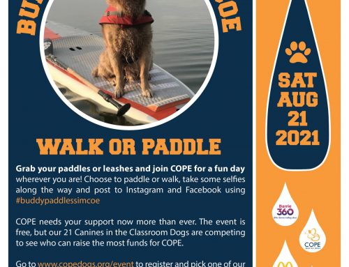 Buddy Paddles Simcoe – July 2021