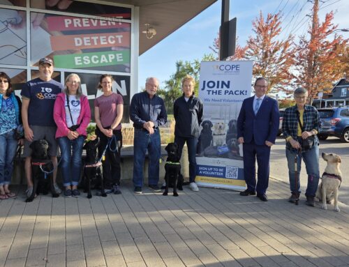 Unleashing Potential: $88,800 OTF Grant from the Province Helps COPE Service Dogs