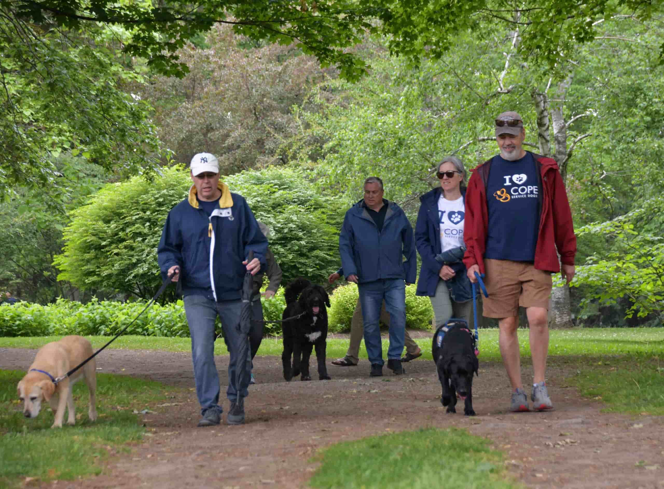 4 cope volunteers walking dogs