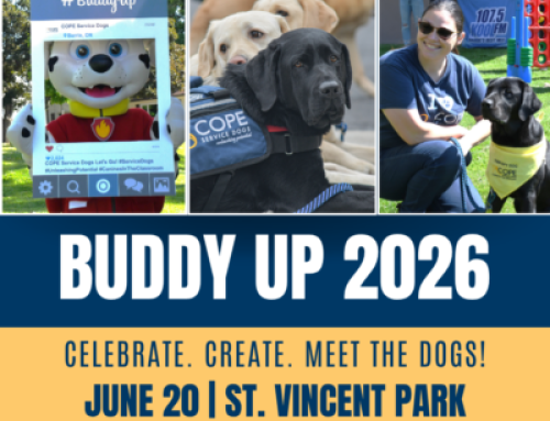 21 Dogs Need You ~ Buddy Up Starts Now!