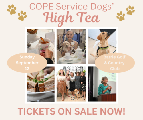 Peach High Tea – Tickets Live Graphic Facebook