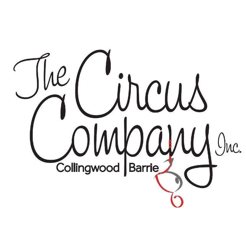 Aerial Silk Private Lesson for 4 (Barrie Circus Company) – Value $120