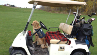 Charming riding in golf cart with cape on